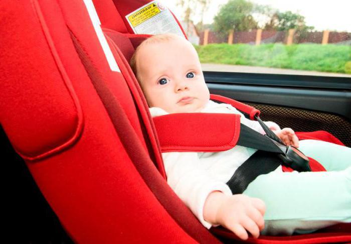  new law on the transport of children in the car