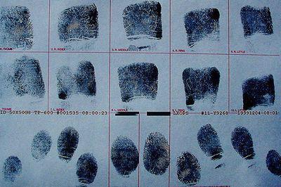 The concept and significance of the forensic characteristics of crimes