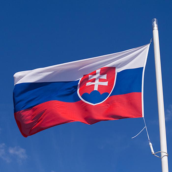 Slovakia: flag and state emblem