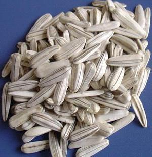 white sunflower seeds