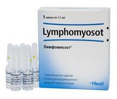 Cheap analog "Lymphomyosot". Instruction, indications for use