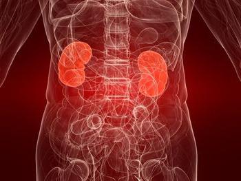 nephrotic syndrome