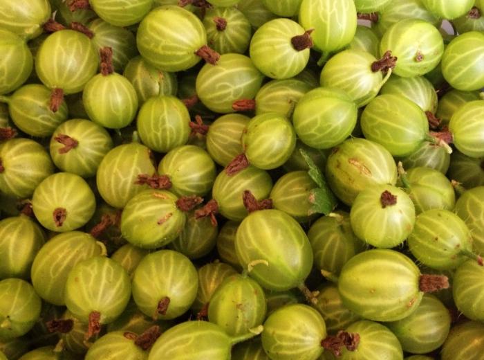 gooseberries than useful