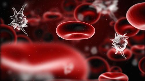 Low blood platelets in the blood: causes and ways to increase