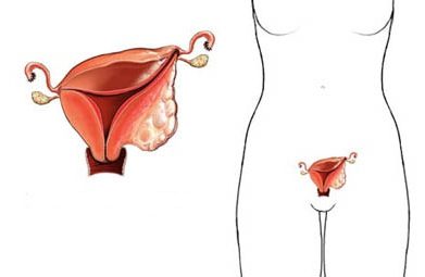 Signs of cancer of the uterus