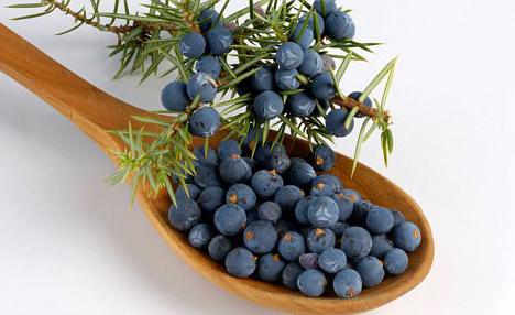 juniper fruit properties