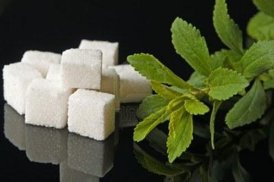 Stevia in diabetes mellitus as a substitute for sugar