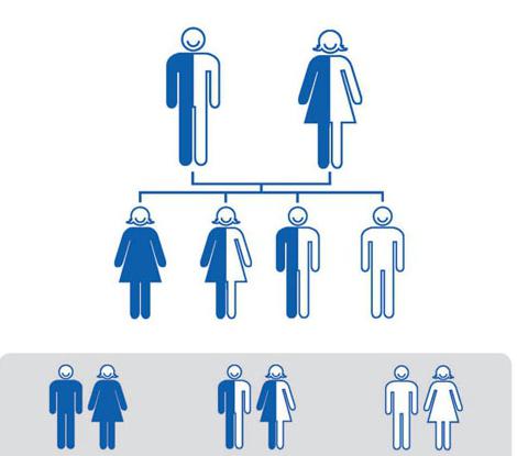 types of inheritance