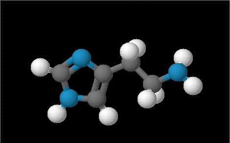 histamine what is it