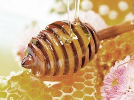 Tasty and useful medicine - honey with perga