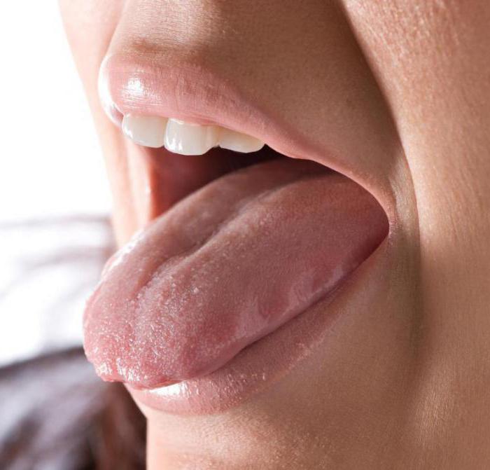 taste buds in the tongue