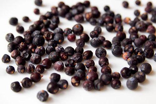 Juniper berries (fruits): useful properties